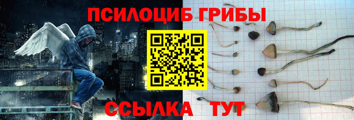 Каменск-Уральский  Галлюциногенные грибы Psilocybe  Вход с VPN 